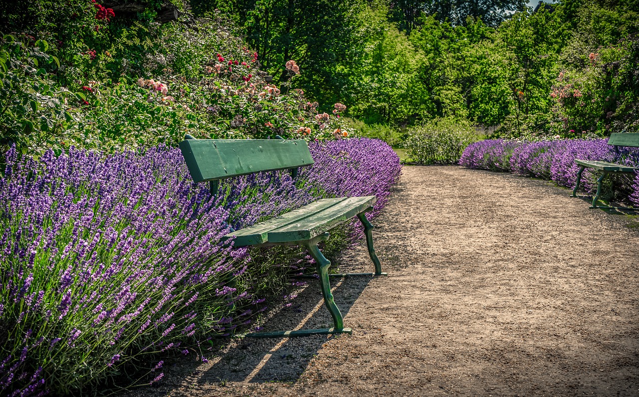 Sustainable Practices for Visiting France’s Strasbourg